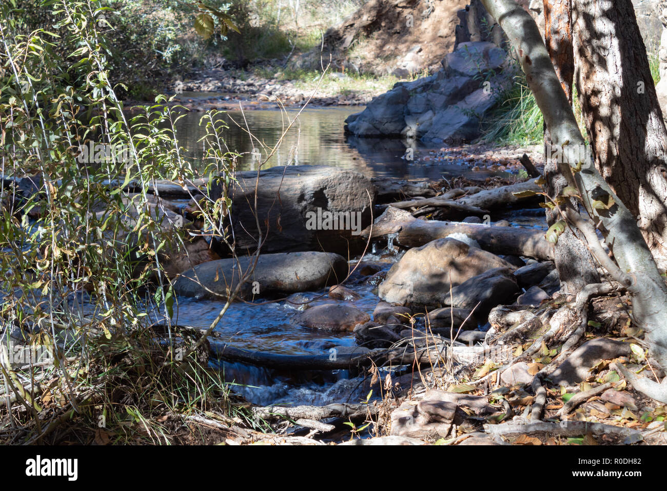 Bild eines kleinen verdammt auf Beaver Creek in Colorado. Stockfoto