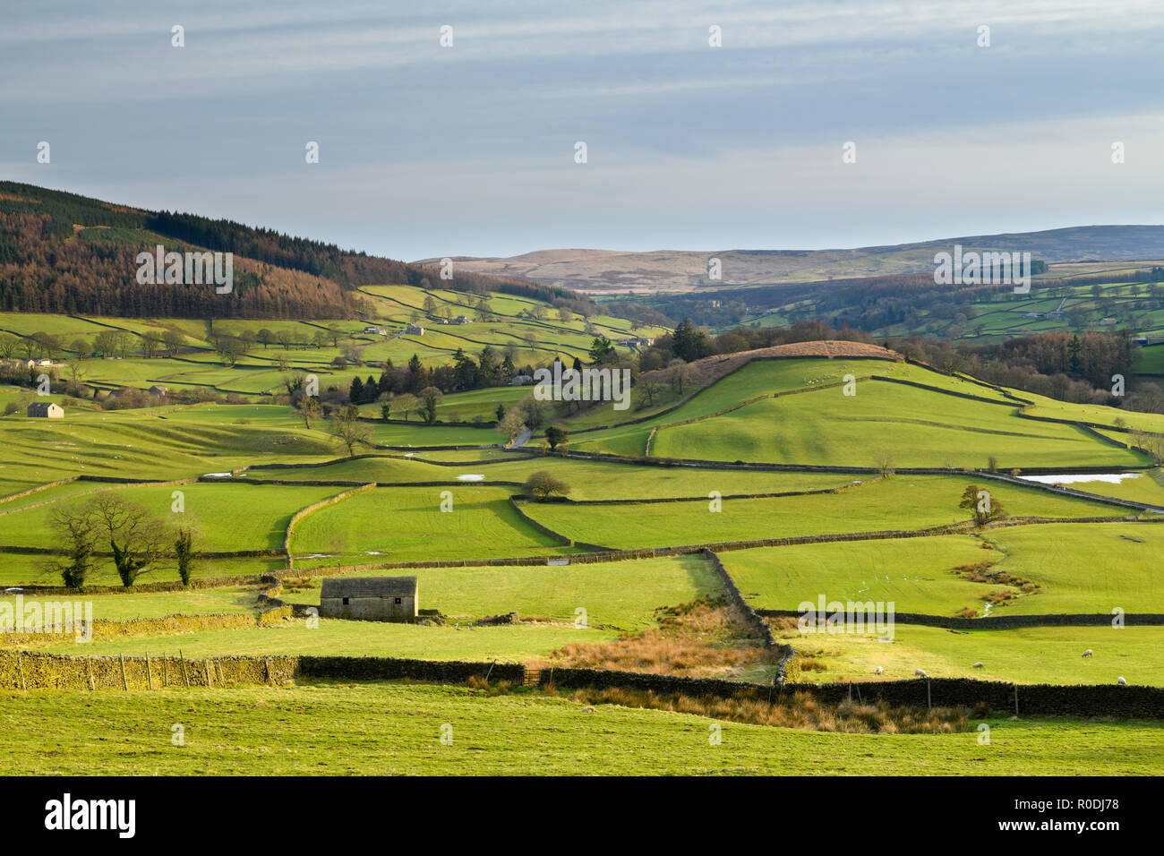 Weite malerische Aussicht auf Wharfedale (isolierte Scheunen, grüne Weide, sonnenbeschienene Tal, Wände, blauer Himmel) - Yorkshire Dales, England, Großbritannien. Stockfoto