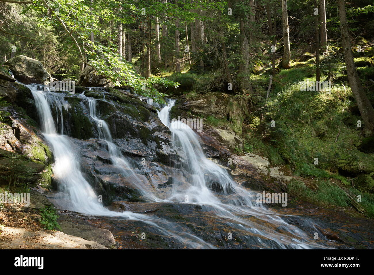 Riesloch Fälle bei der Großer Arber im Bayerischen Wald. Deutschland Stockfoto