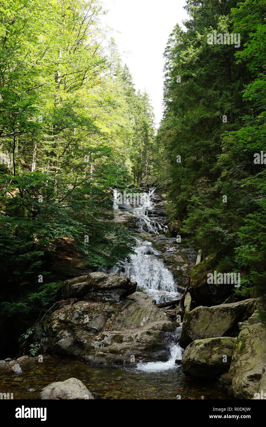 Riesloch Fälle bei der Großer Arber im Bayerischen Wald. Deutschland Stockfoto