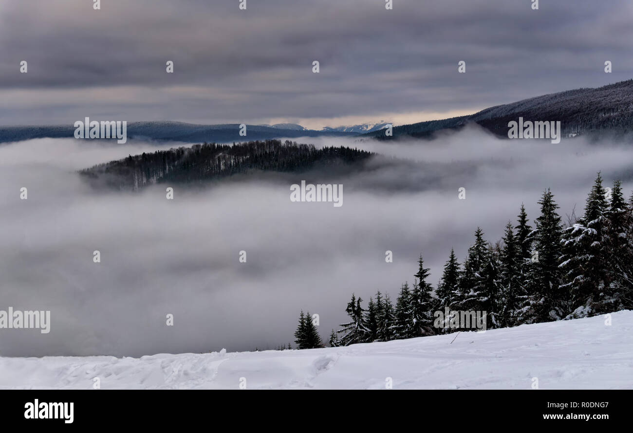 Winter nebligen Berglandschaft. Märchenhaften Nachmittag mit nebligen Berge und dramatische Wolken im Himmel. Berge, Kremnica in der Slowakei. Stockfoto