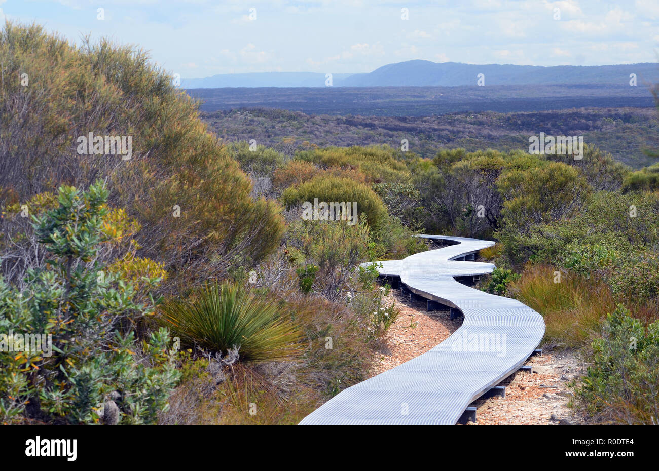 Boardwalk Wanderweg durch die Wälder bei Wattamolla, Royal National Park, NSW, Australien mit Bergen der Great Dividing Range in der Ferne Stockfoto