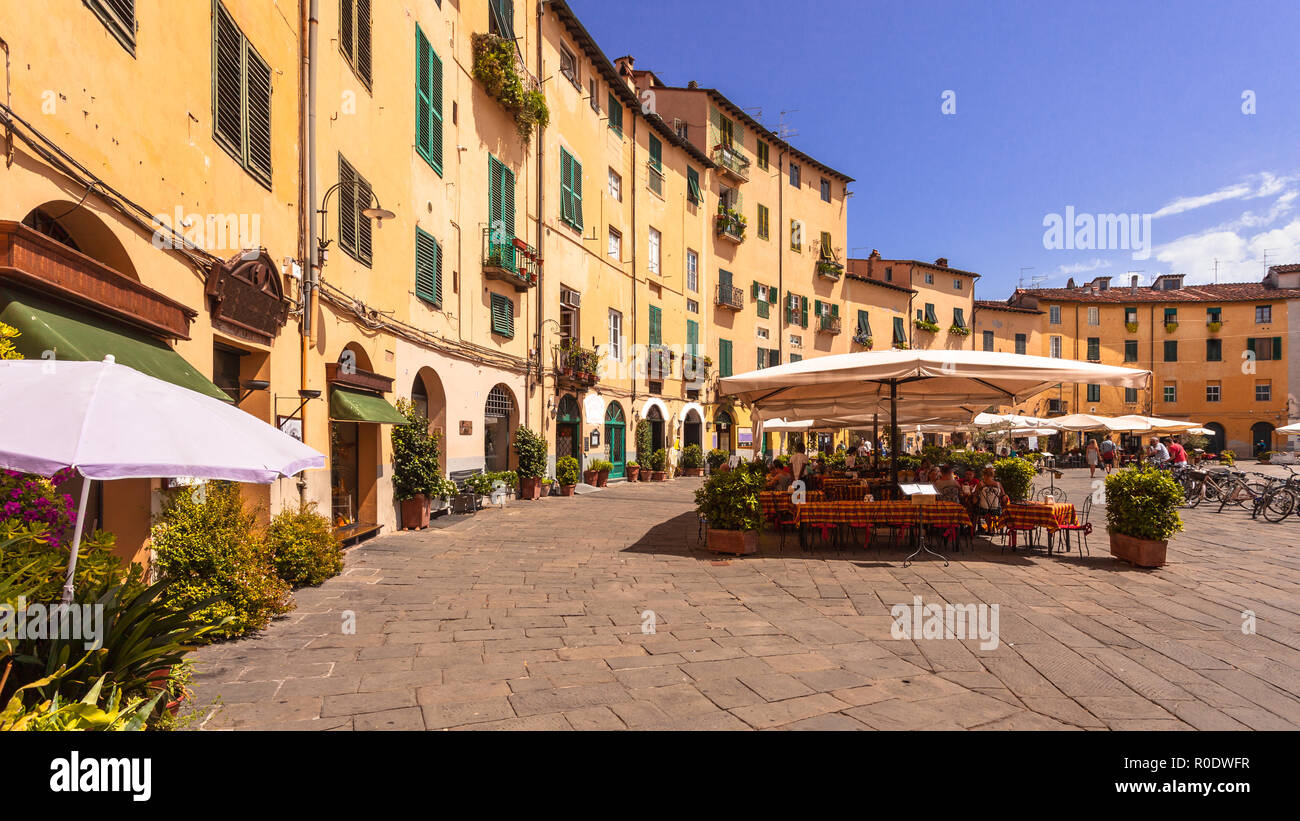 Die berühmte Oval Stadtplatz an einem sonnigen Tag in Lucca, Toskana, Italien Stockfoto