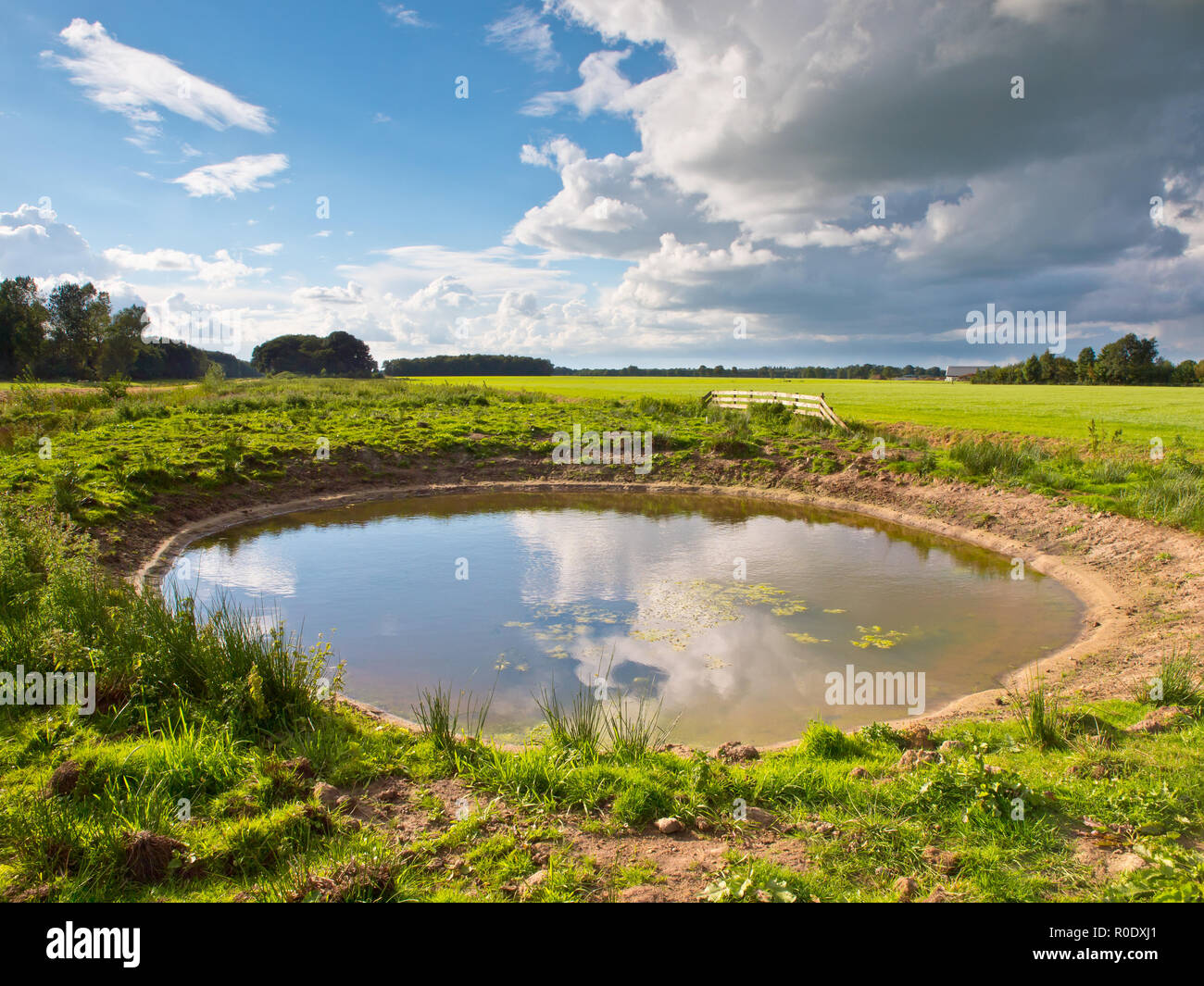 Neue Frosch Teich gegraben für Amphibien Stockfoto
