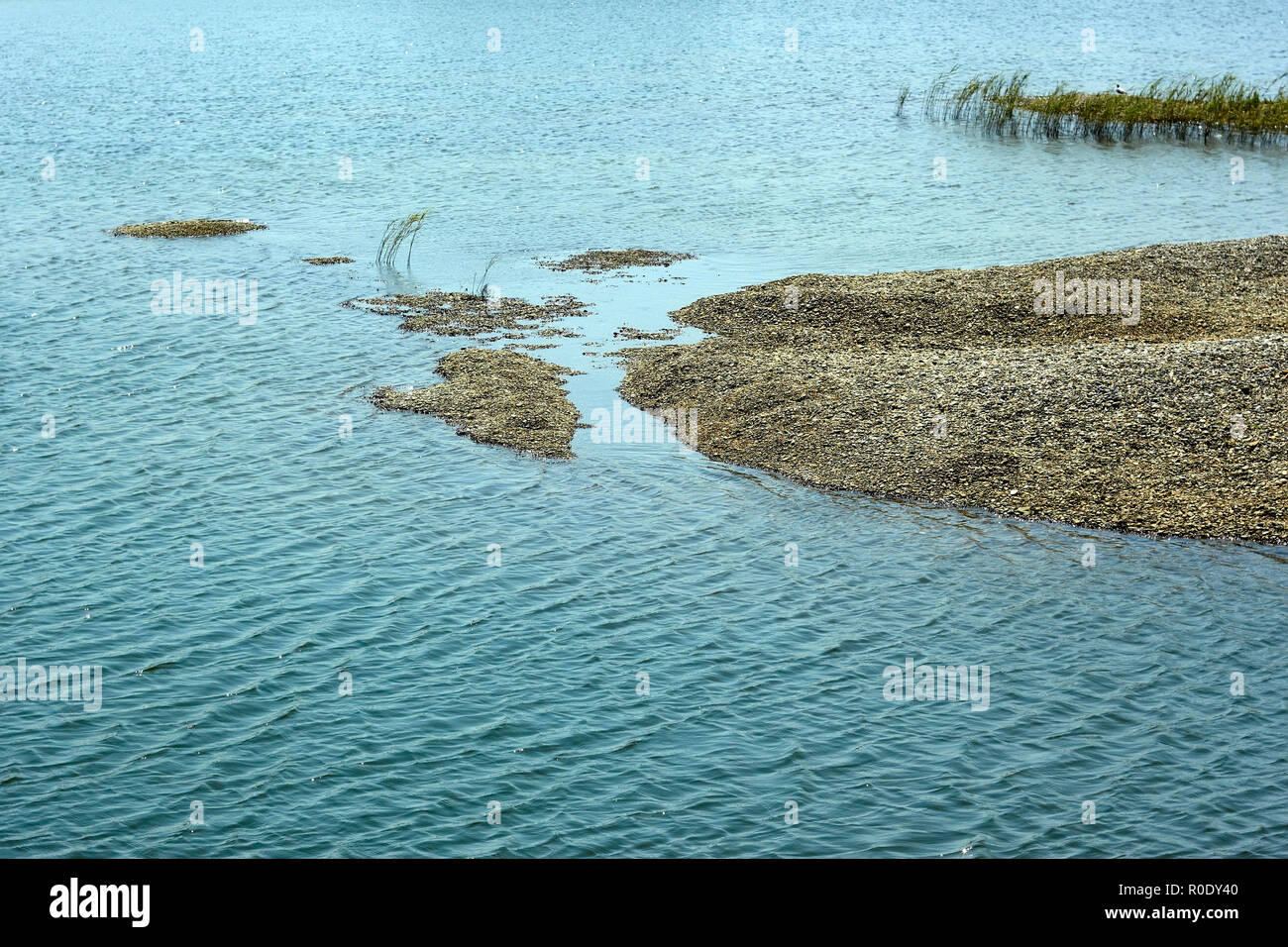 Haufen Kieselsteine in einem flachen marine Lagune in einem schönen Sommertag Stockfoto