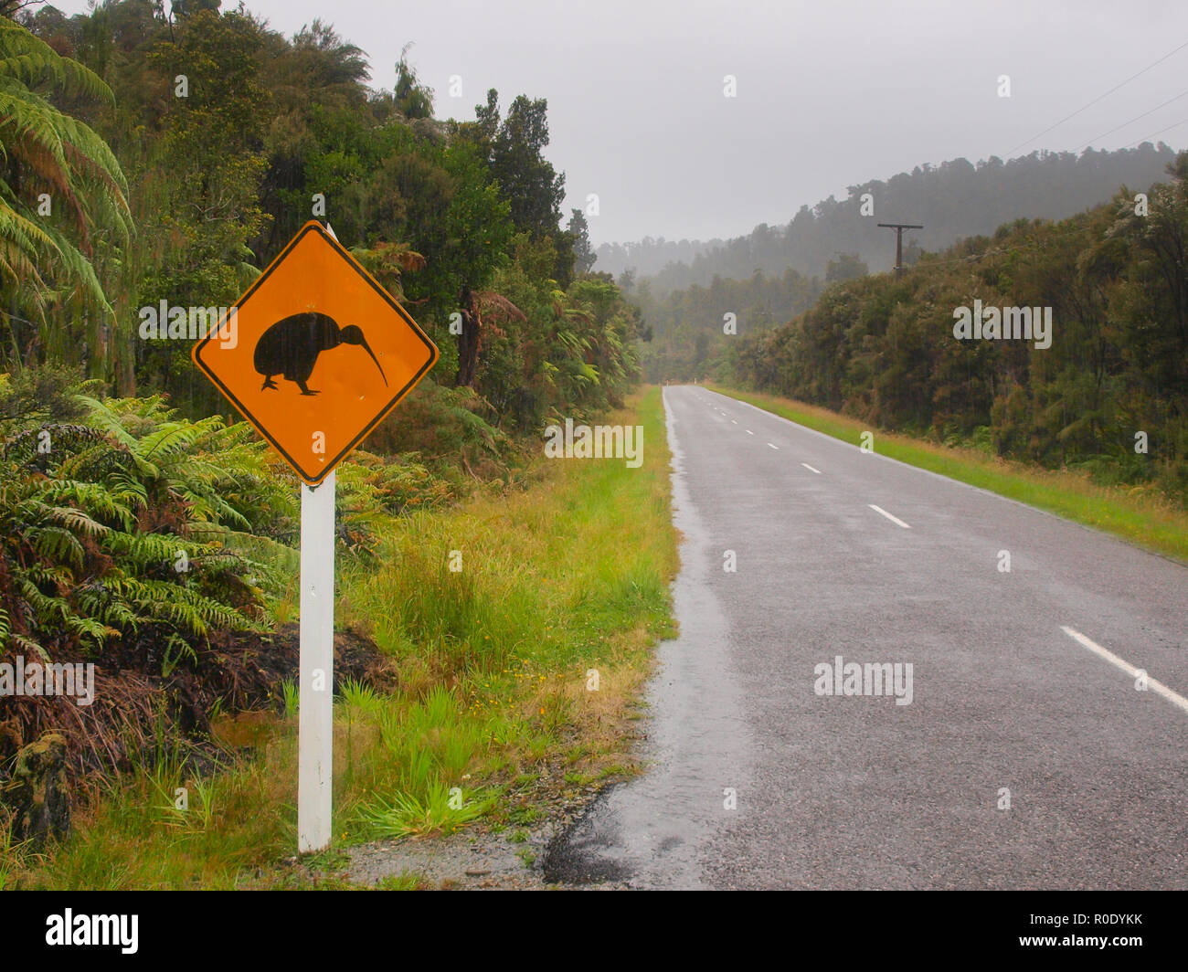 Kiwi Crossing Schild an einer ungezwungenen regnerischen Tag in Westland, Neuseeland Stockfoto