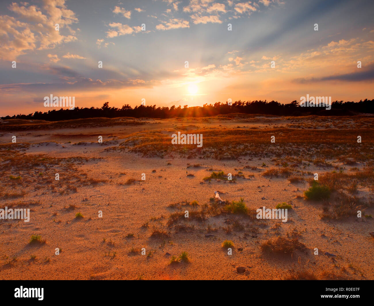 Die Sonne über Wind fegte Sand Dünen Stockfoto
