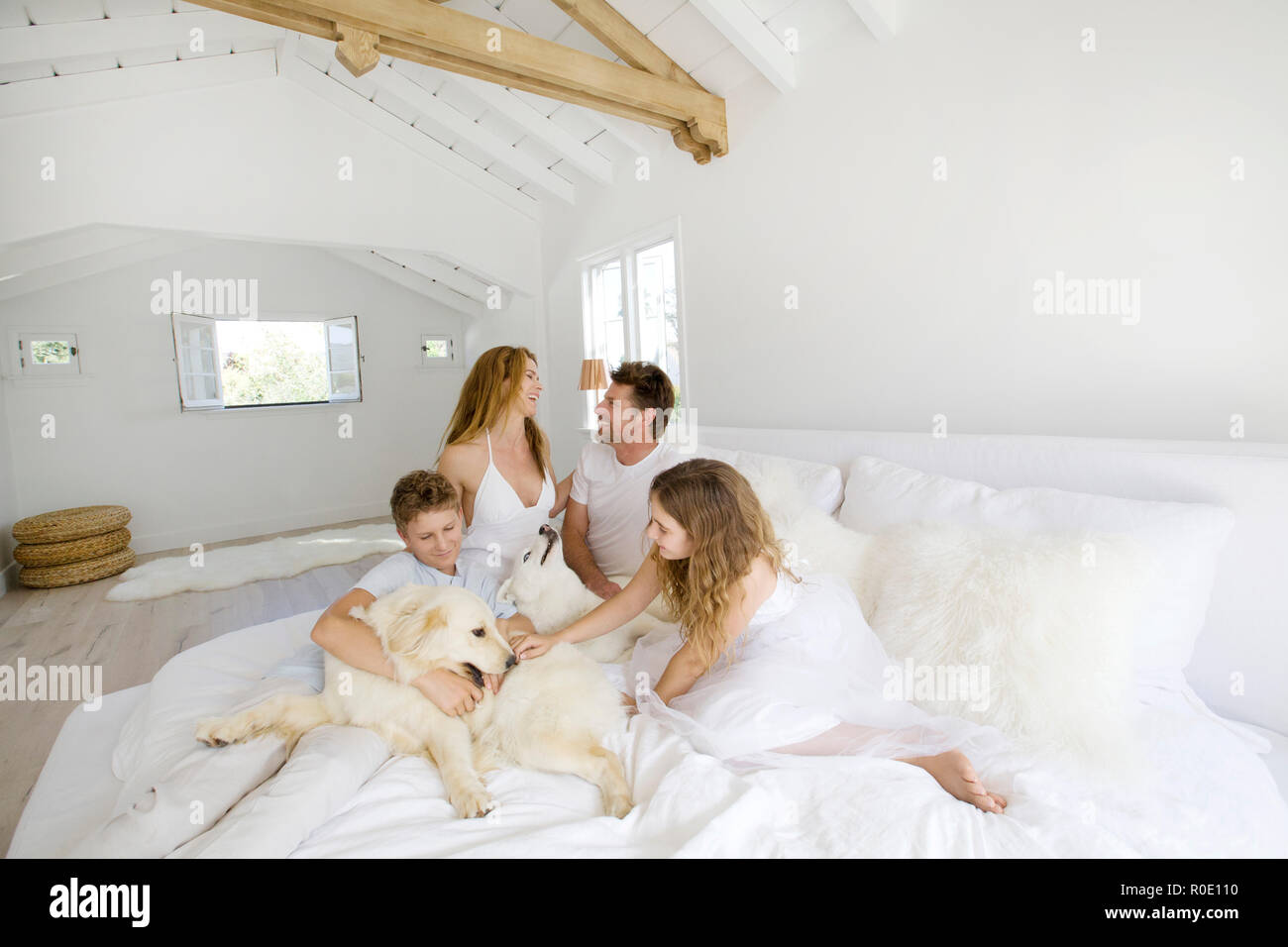 Familie Verlegung auf Bett mit Hund Stockfoto