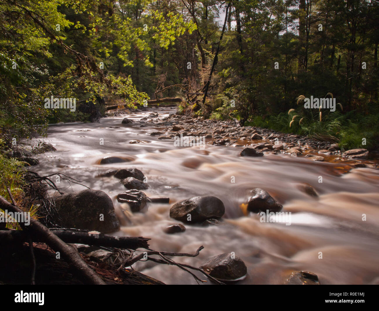 Einem schnell fließenden Forest stream ist verblasst Stockfoto