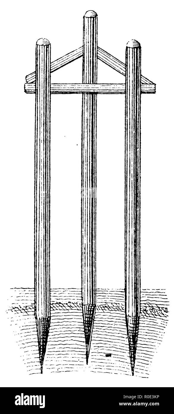 Drei Stapel gegen Start- und anderen Verletzungen rund um den Stamm, über durch Cross-Holz verbunden, anonym 1911 Stockfoto