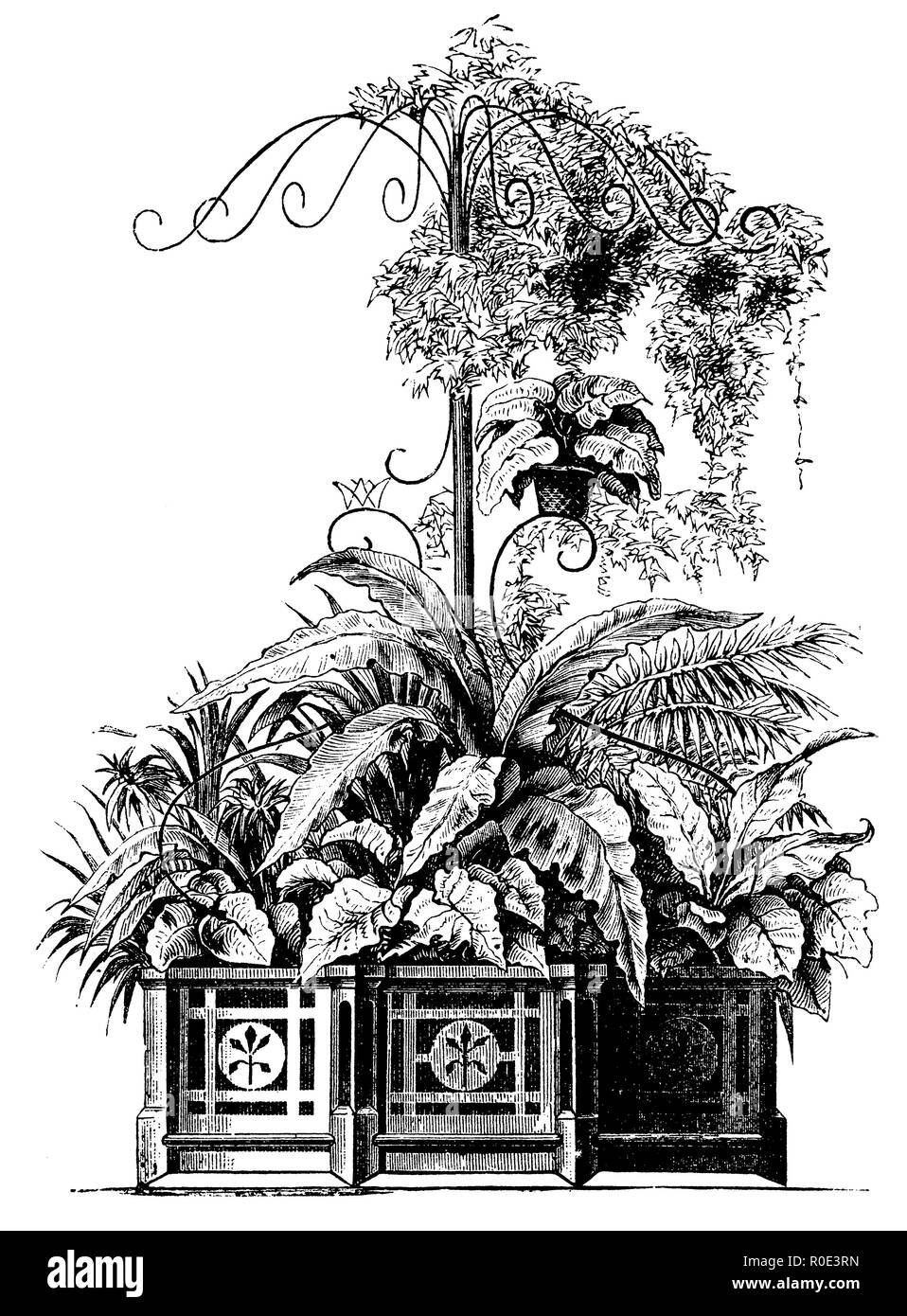 Blumenschmuck empfohlen für kleine Gärten, 1877 Stockfoto