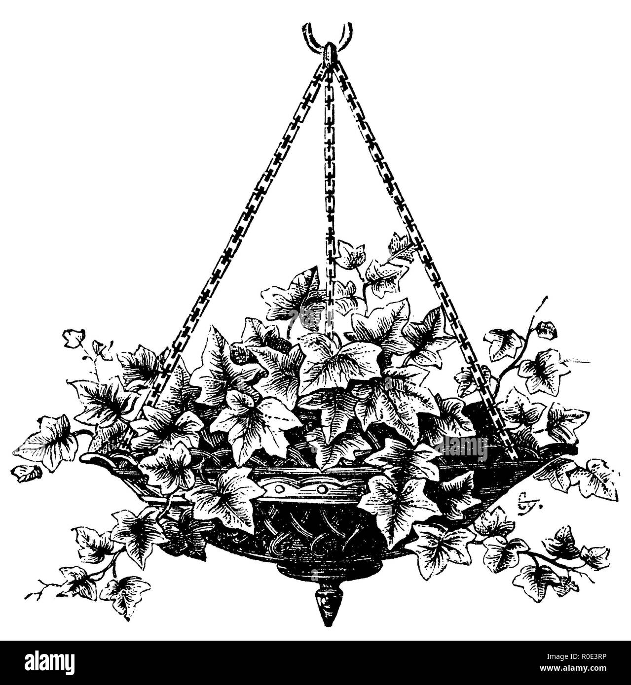 Blumenschmuck empfohlen für kleine Gärten, 1877 Stockfoto