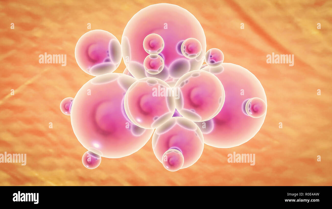 Stammzellen Stammzellen Immuntherapie Behandlung Konzept 3D-Rendering Stockfoto