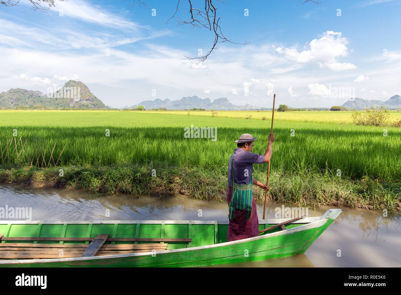 HPA-AN, MYANMAR - Januar 20, 2017: ein Bootsmann, Segeln ist ein hölzernes Boot im Reisfeld Fluss in Hpa-An, Myanmar Stockfoto