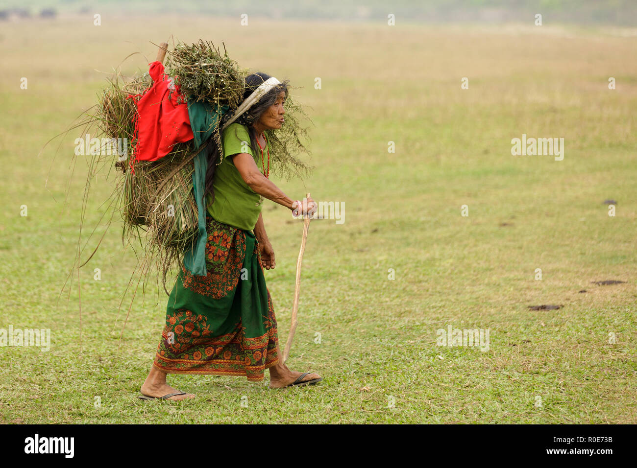 SAUHARA, Nepal, 22. NOVEMBER: Landwirt Frau Pflanzen, die in einem grape Korb, Wandern in einer Wiese in den Chitwan Nationalpark, Eastern Province, in Stockfoto