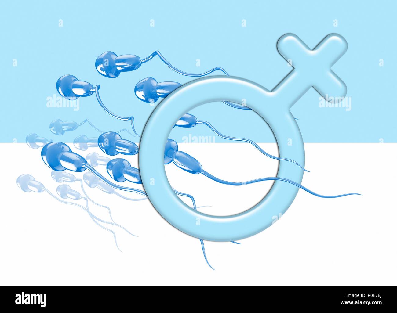 Menschliche Spermien und blau weiblich Symbol, Illustration. Stockfoto