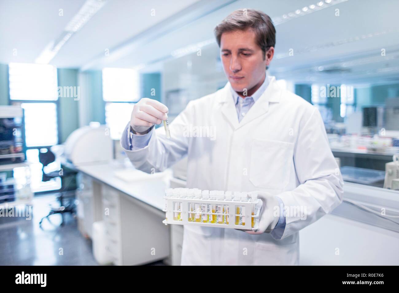 Laboratory Assistant Holding medizinische Proben im Rack. Stockfoto