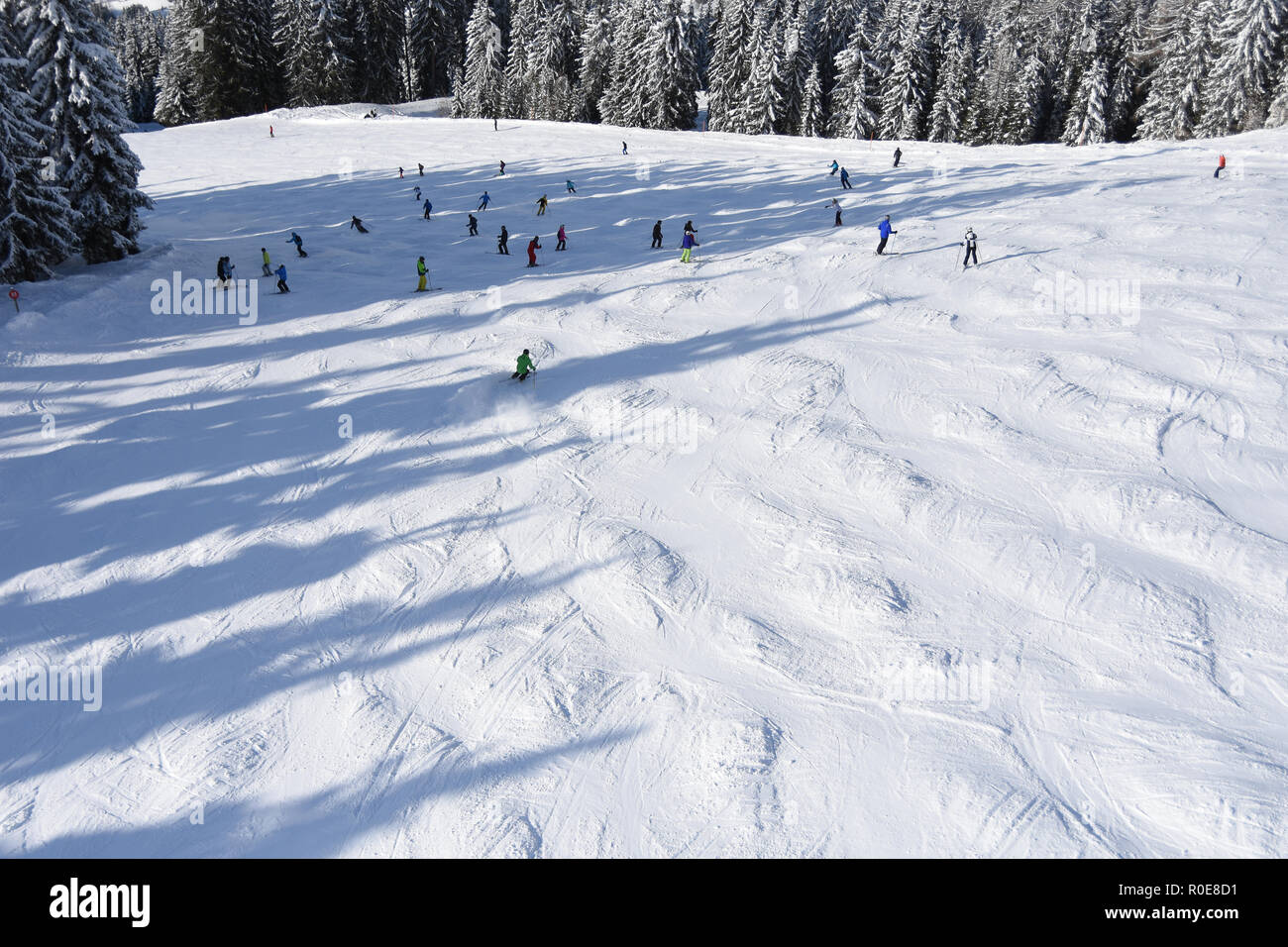 Die schneebedeckten Bäume gegen eine graue, bewölkter Himmel Stockfoto