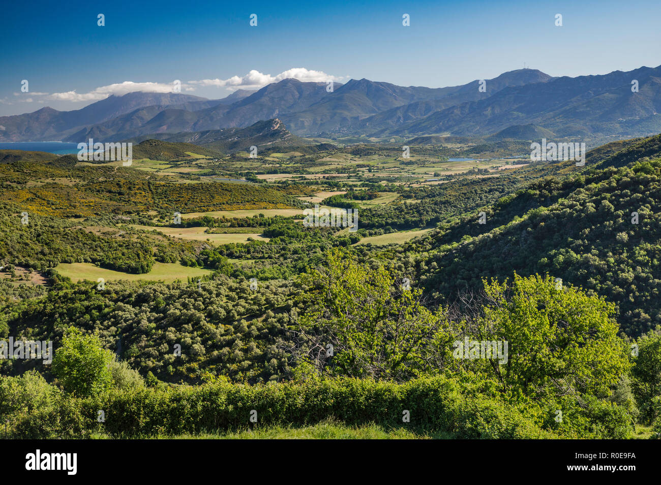 Anzeigen von nebbio Region (Aliso River Valley), Serra di Pigno massiv in der Entfernung, in der Nähe der Ortschaft Sorio, Haute-Corse, Korsika, Frankreich Stockfoto