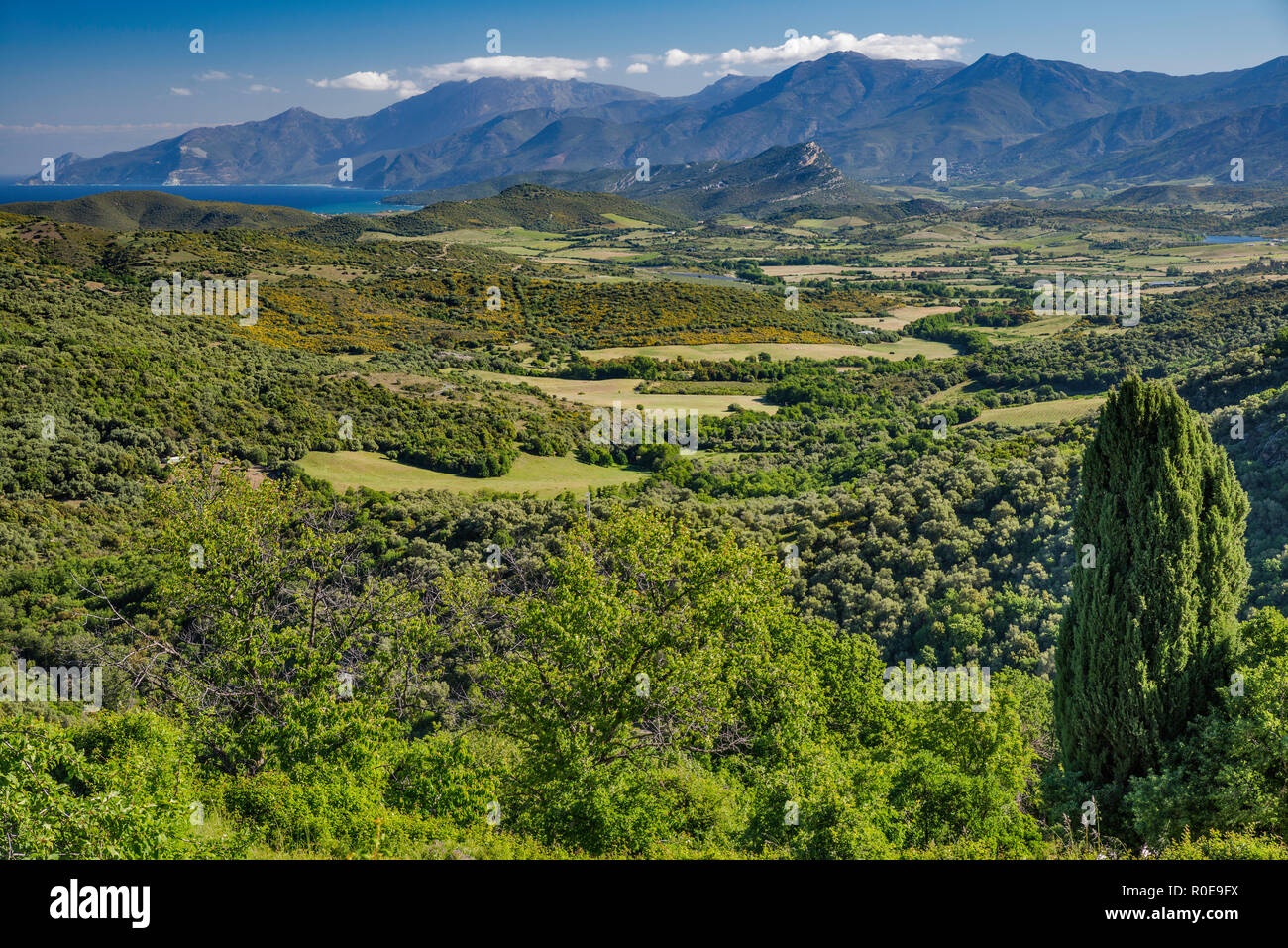 Anzeigen von nebbio Region (Aliso River Valley), Serra di Pigno massiv in der Entfernung, in der Nähe der Ortschaft Sorio, Haute-Corse, Korsika, Frankreich Stockfoto
