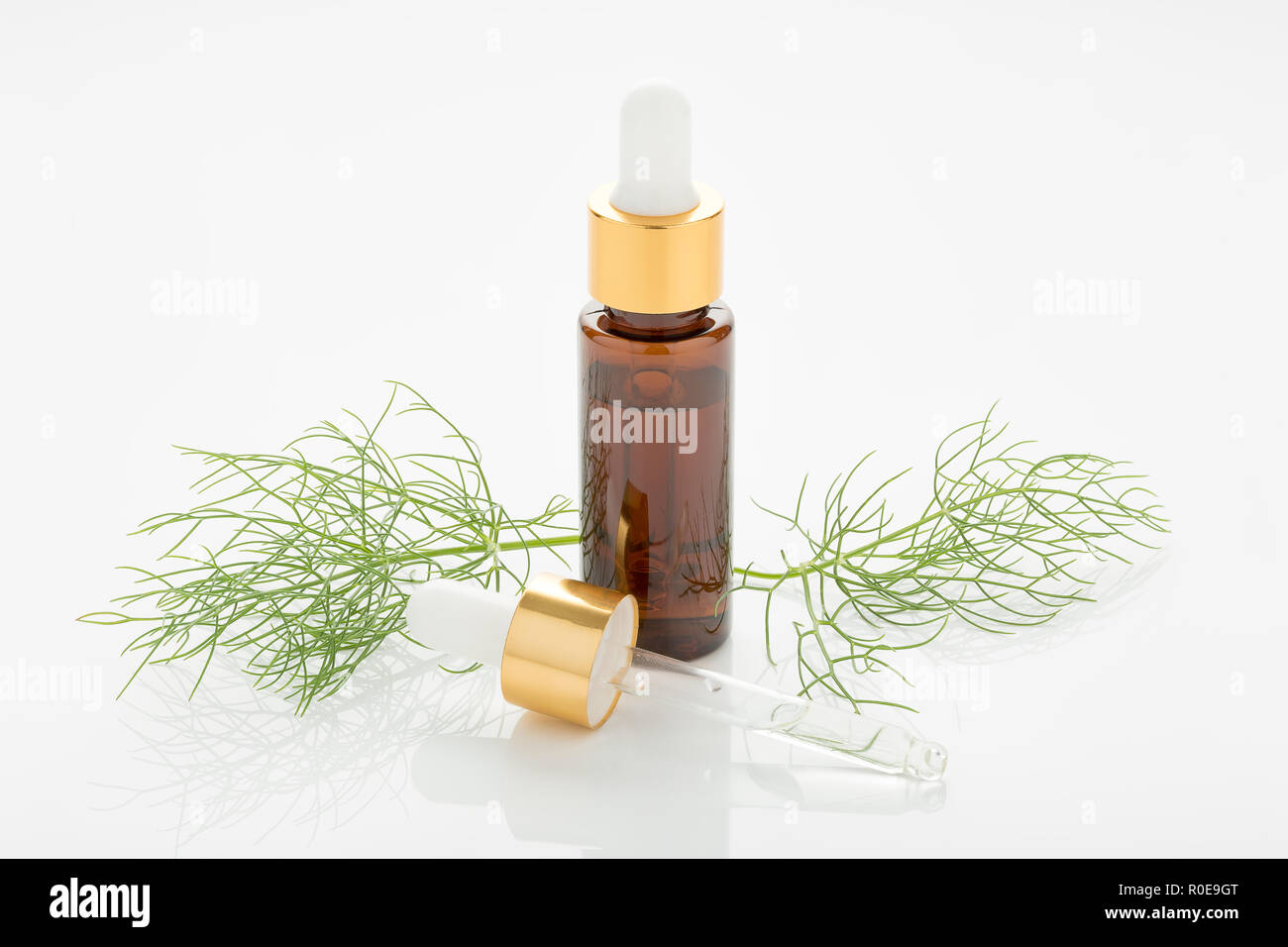 Fenchel ätherisches Öl auf weißem Hintergrund. Foeniculum vulgare Stockfoto