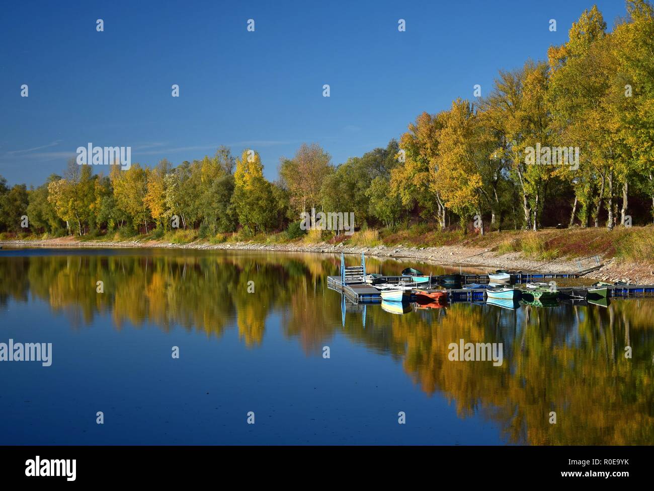 Herbst Landschaft. Ein See, ein Boot Brücke und einige Boote mit gelben Bäumen im Hintergrund. 68782 Brühl, Baden-Württemberg, Deutschland. Stockfoto