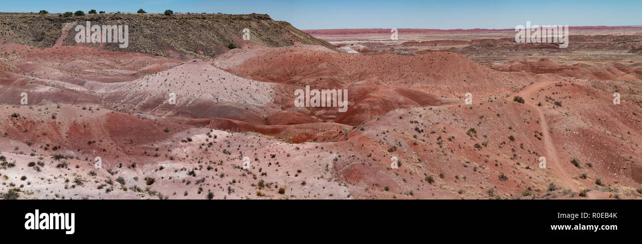 Painted Desert ist Teil der Petrified Forest National Park in Navajo und Apache Grafschaften im nordöstlichen Arizona. Stockfoto