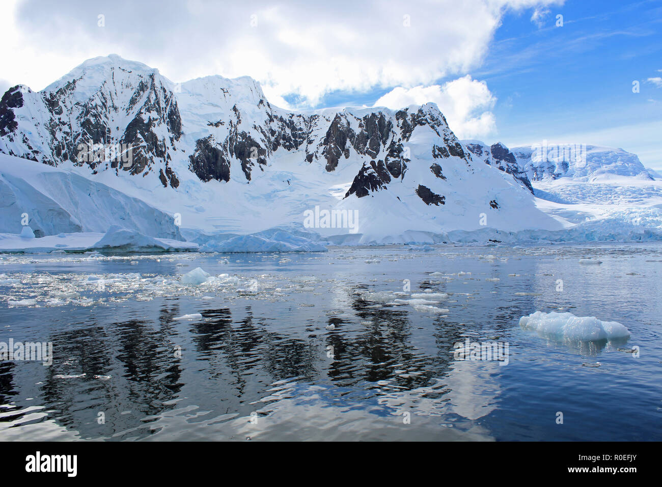 Glitzernde gefrorenes Wasser und Eisberge an einem sonnigen Tag Sommer in Paradise Bay, Antarktische Halbinsel Stockfoto