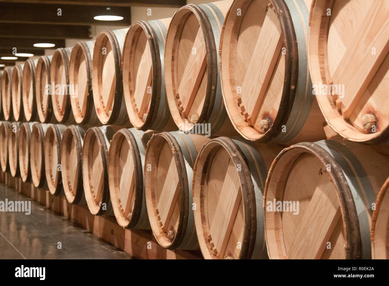 Bordeaux Rotwein Fässer und Barriques Stockfoto