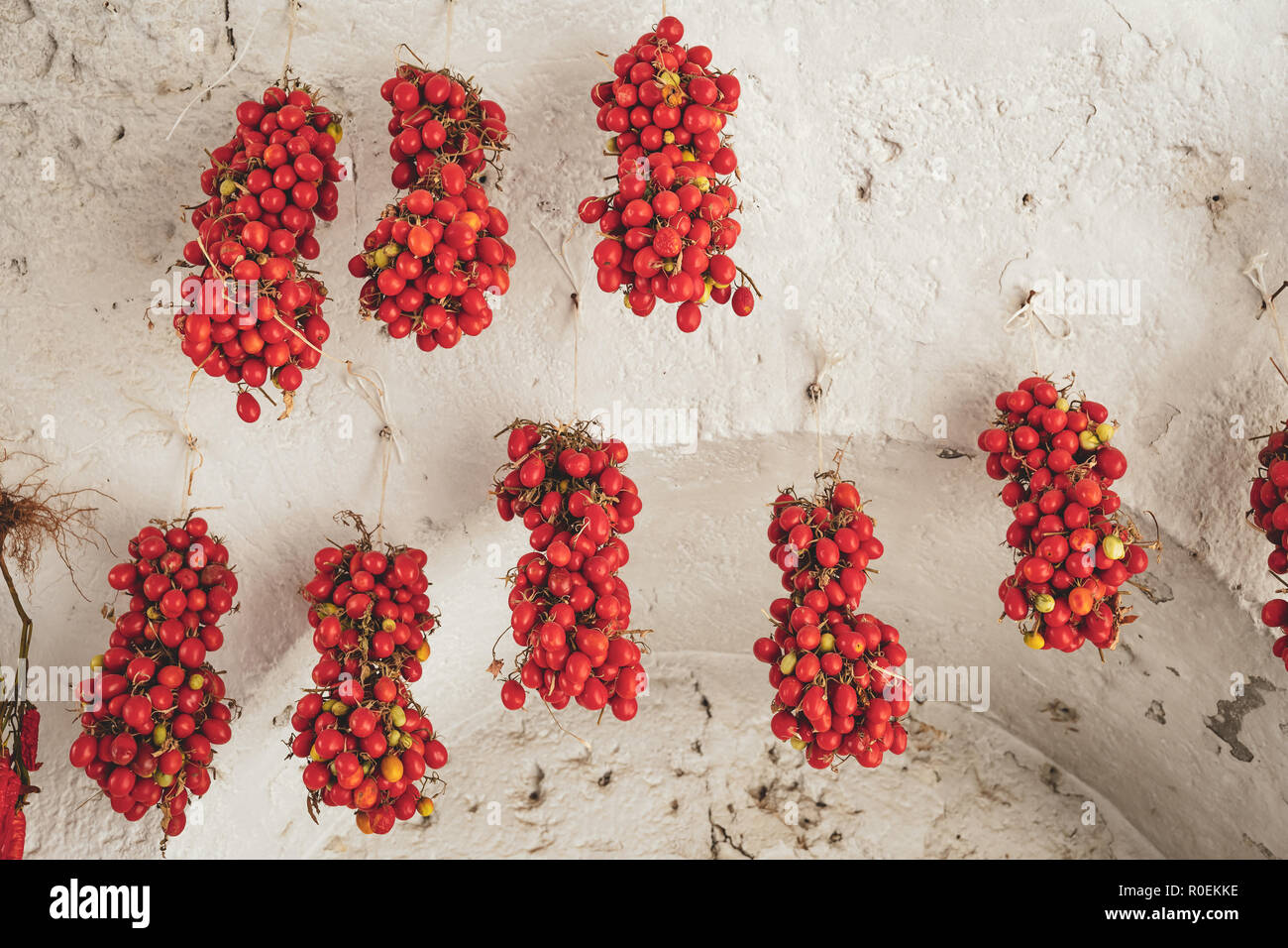 Hängende Kirschtomaten in Apulien Stockfoto
