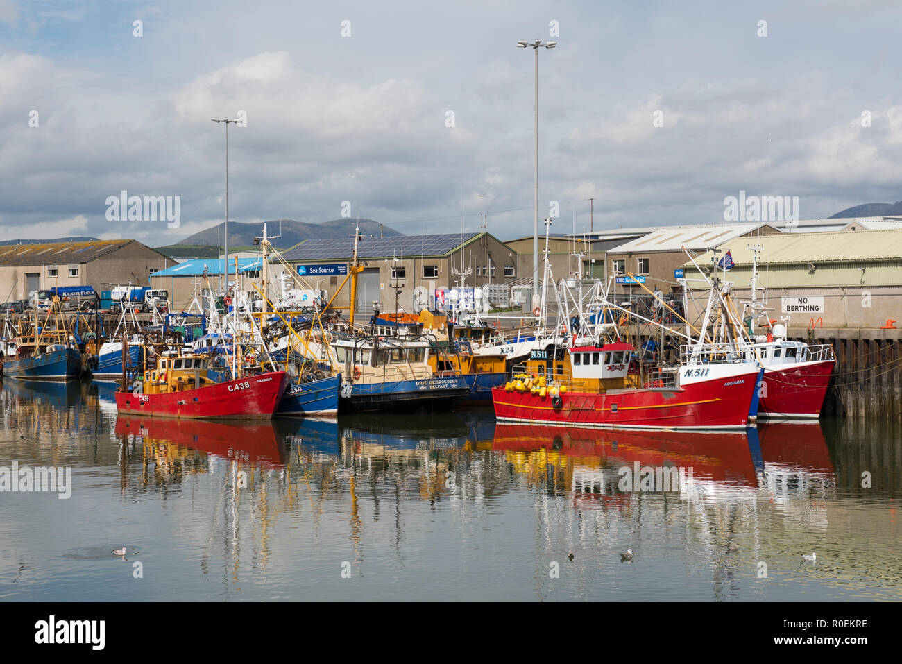Fischerboote im Hafen, Kilkeel, County Down, Nordirland. Stockfoto