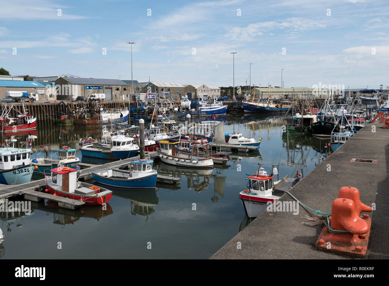 Fischerboote im Hafen, Kilkeel, County Down, Nordirland. Stockfoto