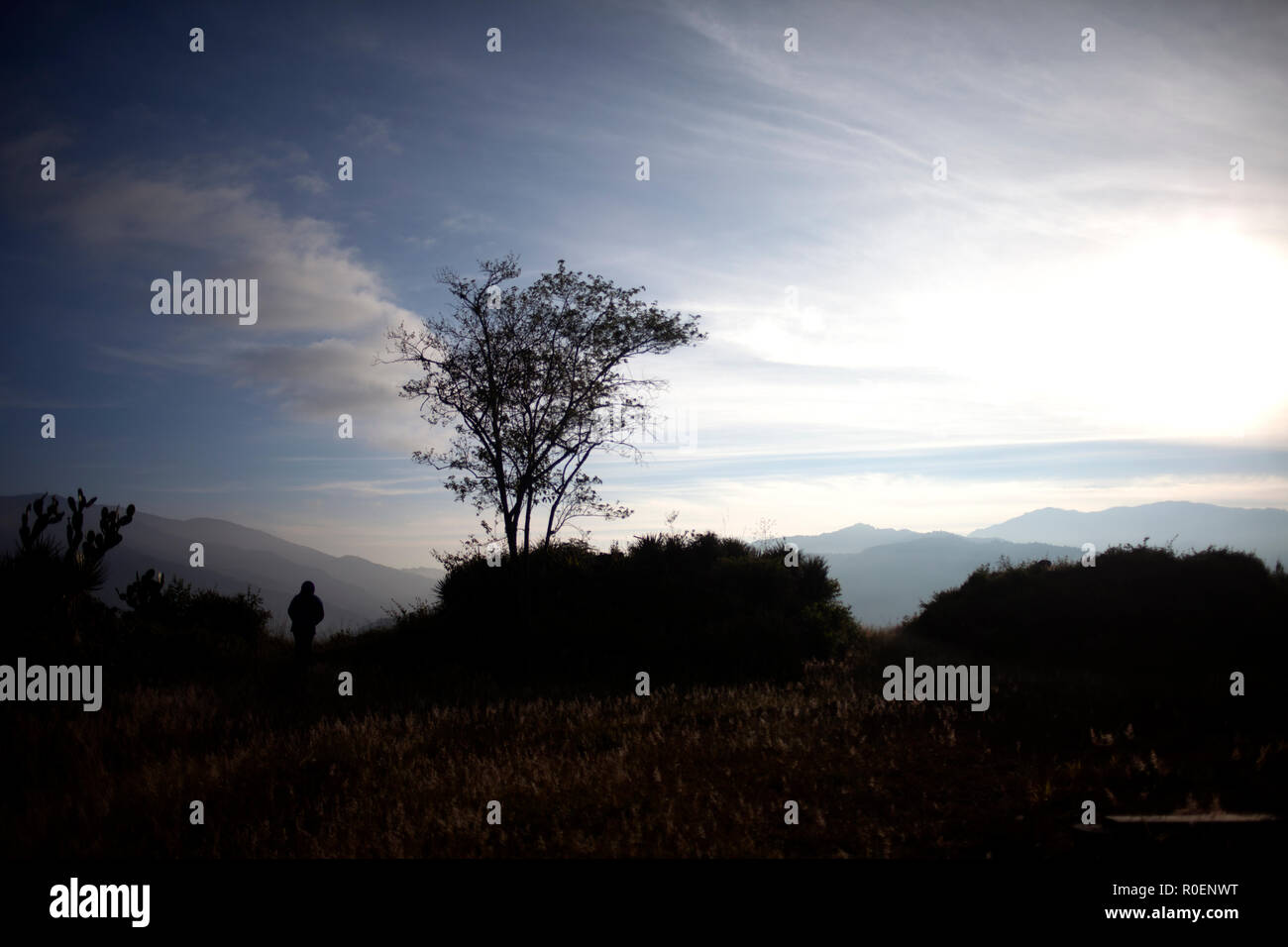 Eine Frau geht bei Sonnenaufgang in Lachatao, in der Sierra Norte von Oaxaca, Mexiko Stockfoto