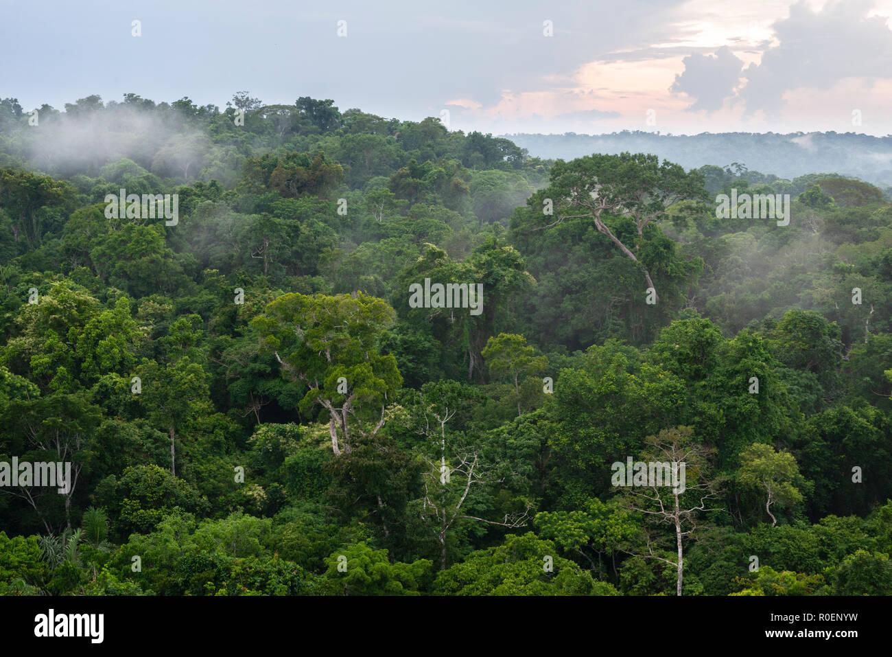 Amazonas Regenwald aus der Gegend in der Nähe der Cristalino Lodge, Pará, Brasilien Stockfoto