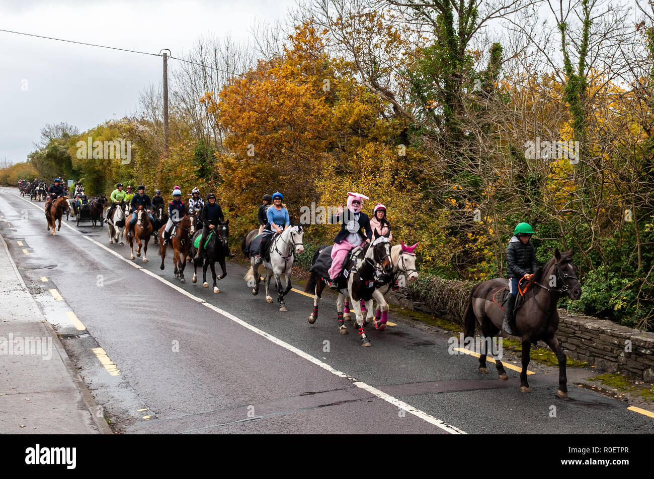 Bantry, West Cork, Irland. 4 Nov, 2018. Bantry Fancy Dress Cheval fand heute zugunsten der Chloe Keane Rehabilitation zu finanzieren. Cheval wird dargestellt, nach dem Verlassen des Bantry. Credit: Andy Gibson/Alamy Leben Nachrichten. Stockfoto