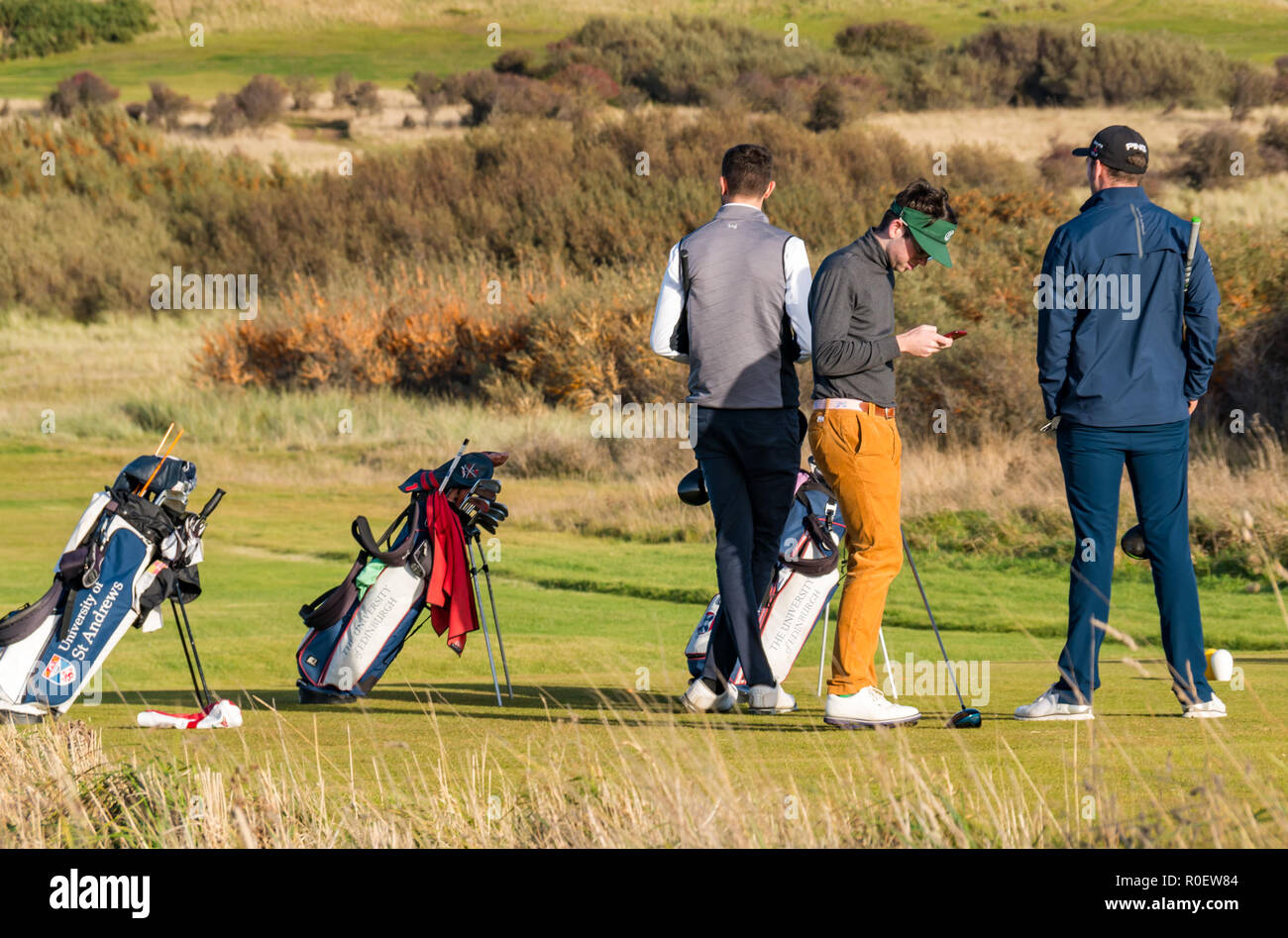 Aberlady Nature Reserve, East Lothian, Schottland, Vereinigtes Königreich, 4. November 2018. UK Wetter: warmen sonnigen Herbsttag auf Golf Links. Junge männliche Golfspieler auf Gullane Golfplatz. Ein Mann sieht bei seinem Telefon Stockfoto