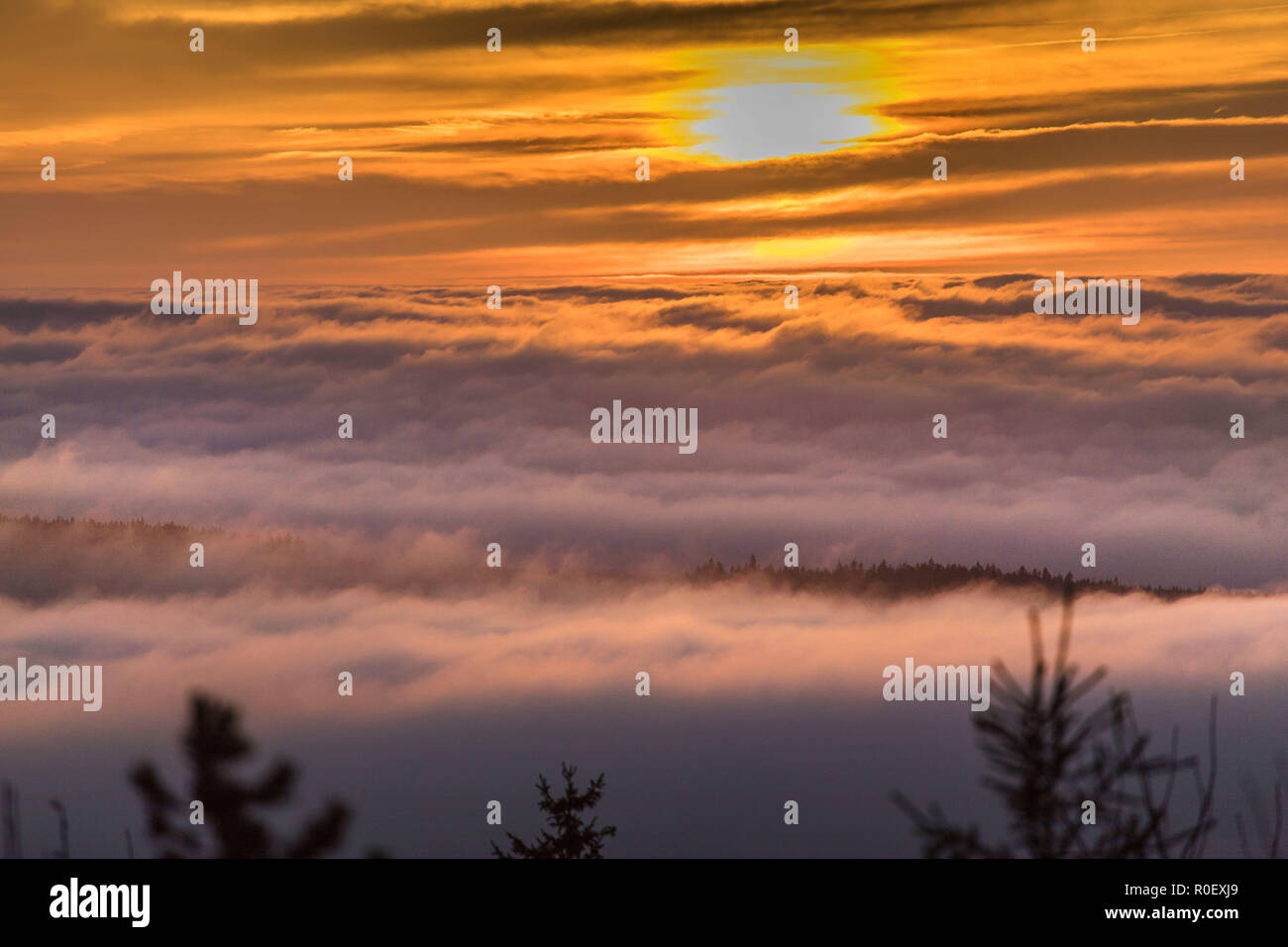 Oberwiesenthal, Deutschland. 04 Nov, 2018. Am späten Nachmittag, Seite Schwaden über den Fichtelberg Berg in der Nähe von Oberwiesenthal. Quelle: Bernd Krauss/dpa-Zentralbild/dpa/Alamy leben Nachrichten Stockfoto