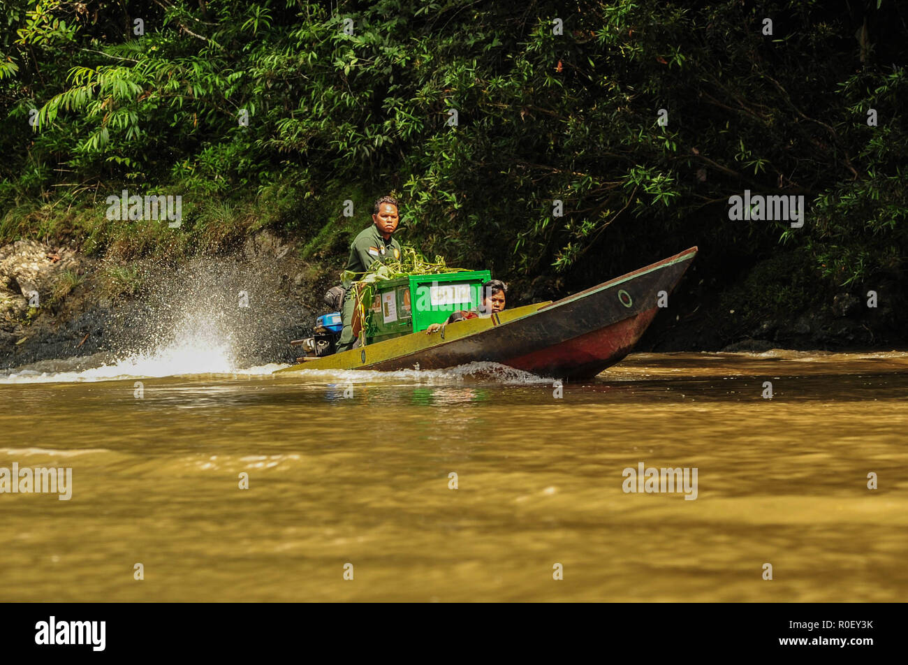 November 3, 2018 - lesan Fluss geschützter Wald, Ost Kalimantan, Indonesien - Personal zwei Käfige mit Orang-utan Primas auf einem Boot zu erkennen, wo sie in das wilde in der lesan Fluss geschützter Wald freigegeben werden, Ost Kalimantan, Indonesien. Diese beiden Bornesischen Orang-utans (Pongo pygmaeus Morio) sind das Ergebnis der Herausgabe der Gemeinschaft im Osten Kalimantan natürlichen Ressourcen Conservation Centre in 2014 und 2016 in der Tenggarong Region, wo Sie in ihren natürlichen Lebensraum nach Jahren der Rehabilitation nach Trauma oft von Leuten verursacht wurden veröffentlicht. Derzeit gibt Ar Stockfoto