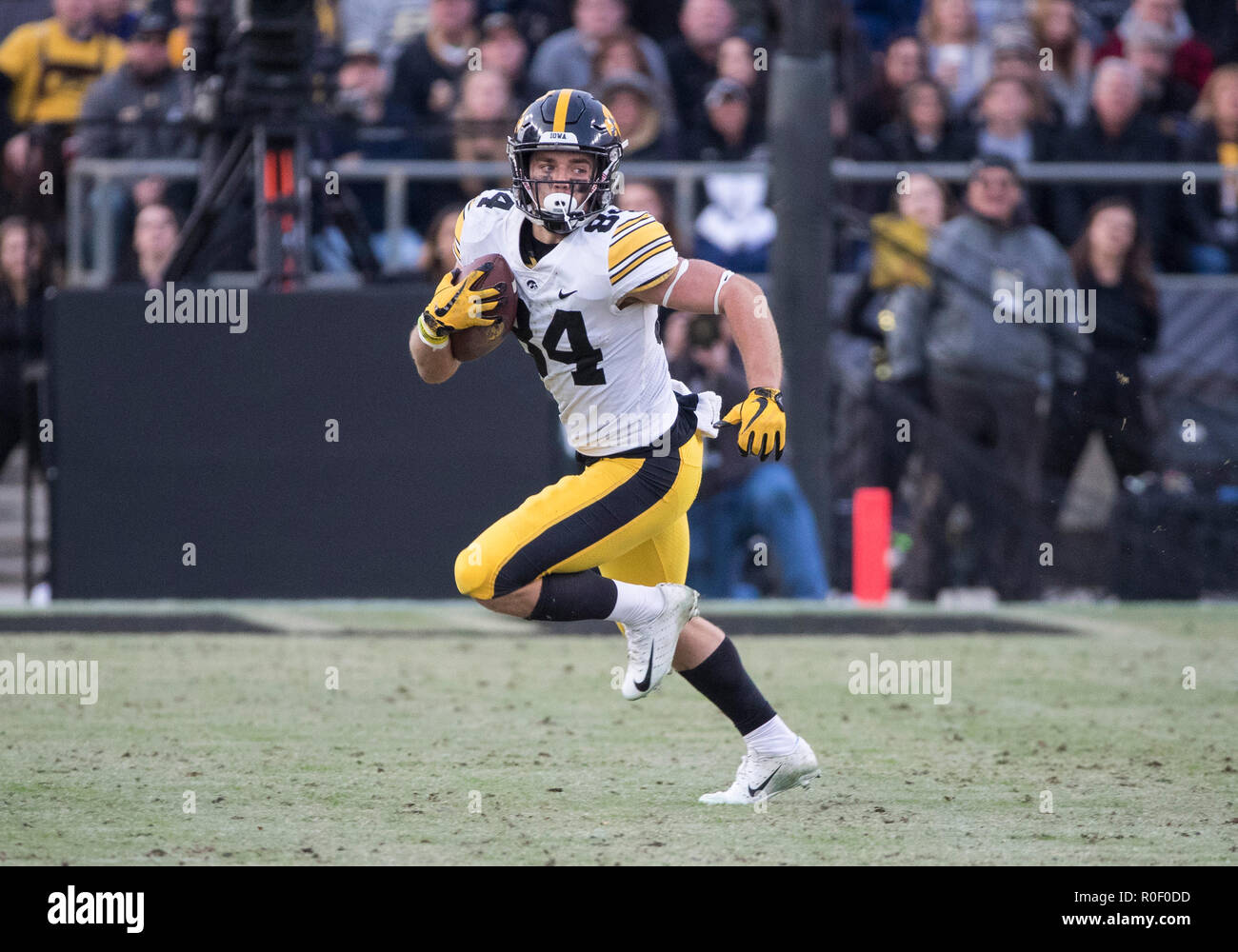 West Lafayette, Indiana, USA. 03 Nov, 2018. Iowa wide receiver Nick Easley (84) läuft mit dem Ball nach dem Fang während der NCAA Football Spiel Action zwischen die Iowa Hawkeyes und die Purdue Kesselschmiede an: Ross-Ade Stadium in West Lafayette, Indiana. Purdue besiegte Iowa 38-36. Johann Mersits/CSM/Alamy leben Nachrichten Stockfoto