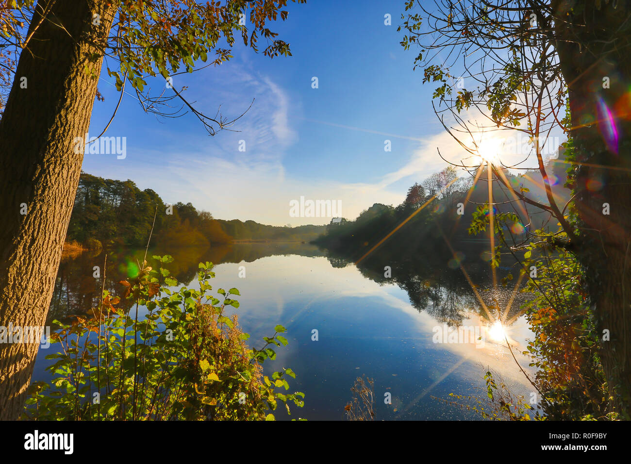 Magische Bunte Herbst Landschaft bei Sonnenaufgang, Rising Sun erstellen sunburst Wirkung in den blauen Himmel, die sich in noch Wasser von unten. Reflexion. Stockfoto