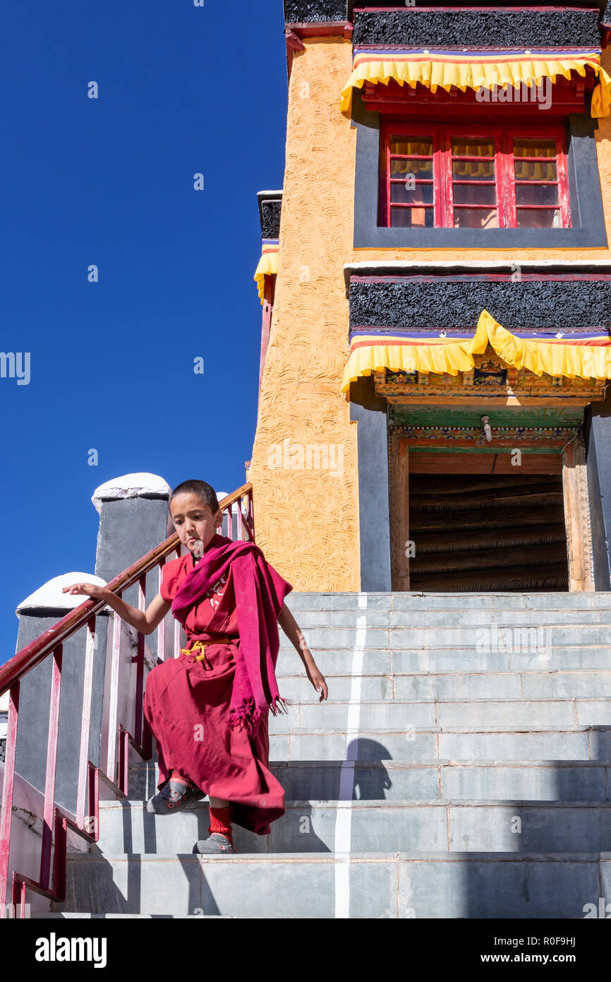 Junge Mönch, der die Treppe an thikse Gompa Kloster (Thiksay), Ladakh, Kaschmir, Indien Stockfoto