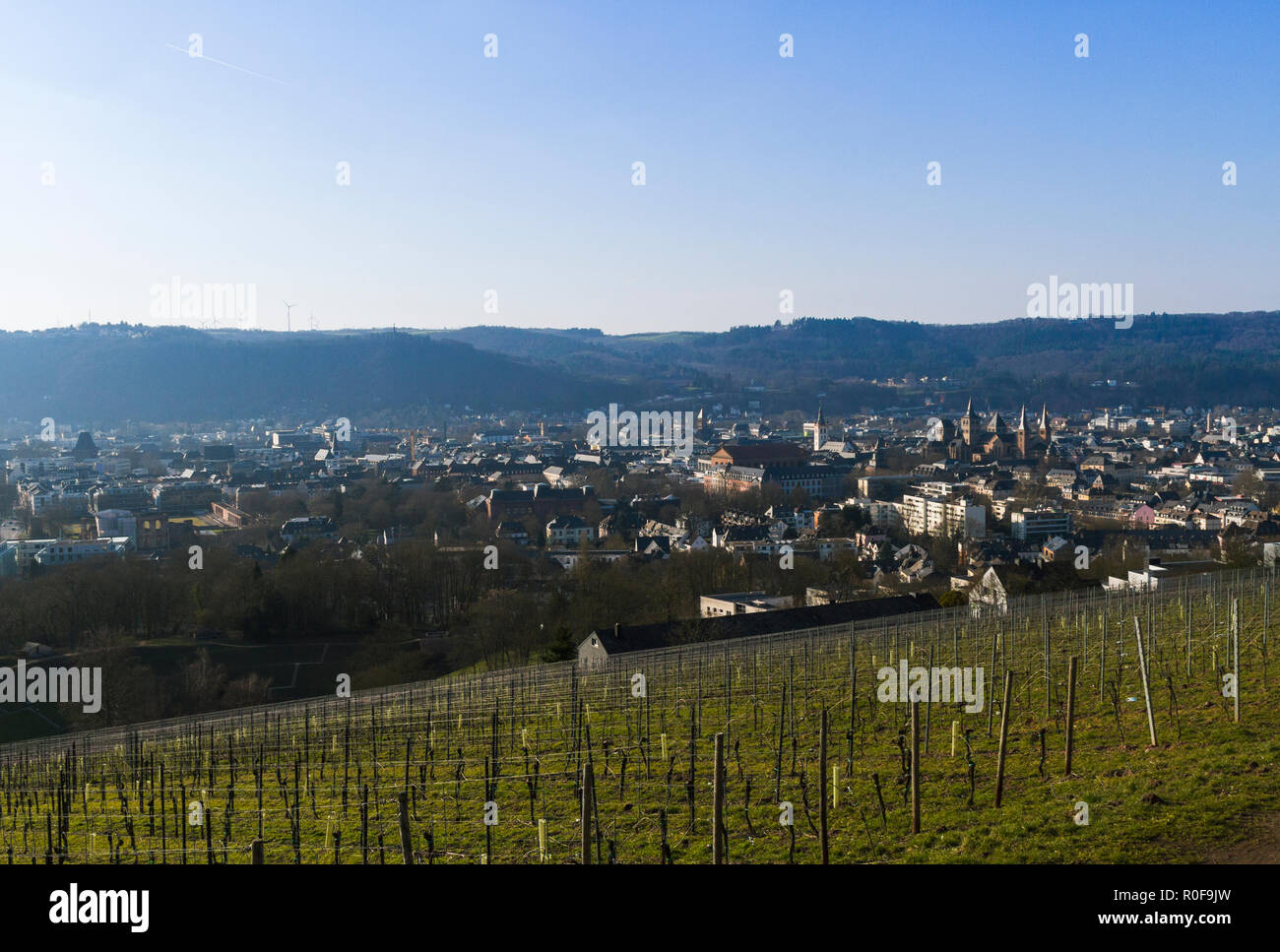 Blick über die Stadt Trier von einem Weinberg Stockfoto