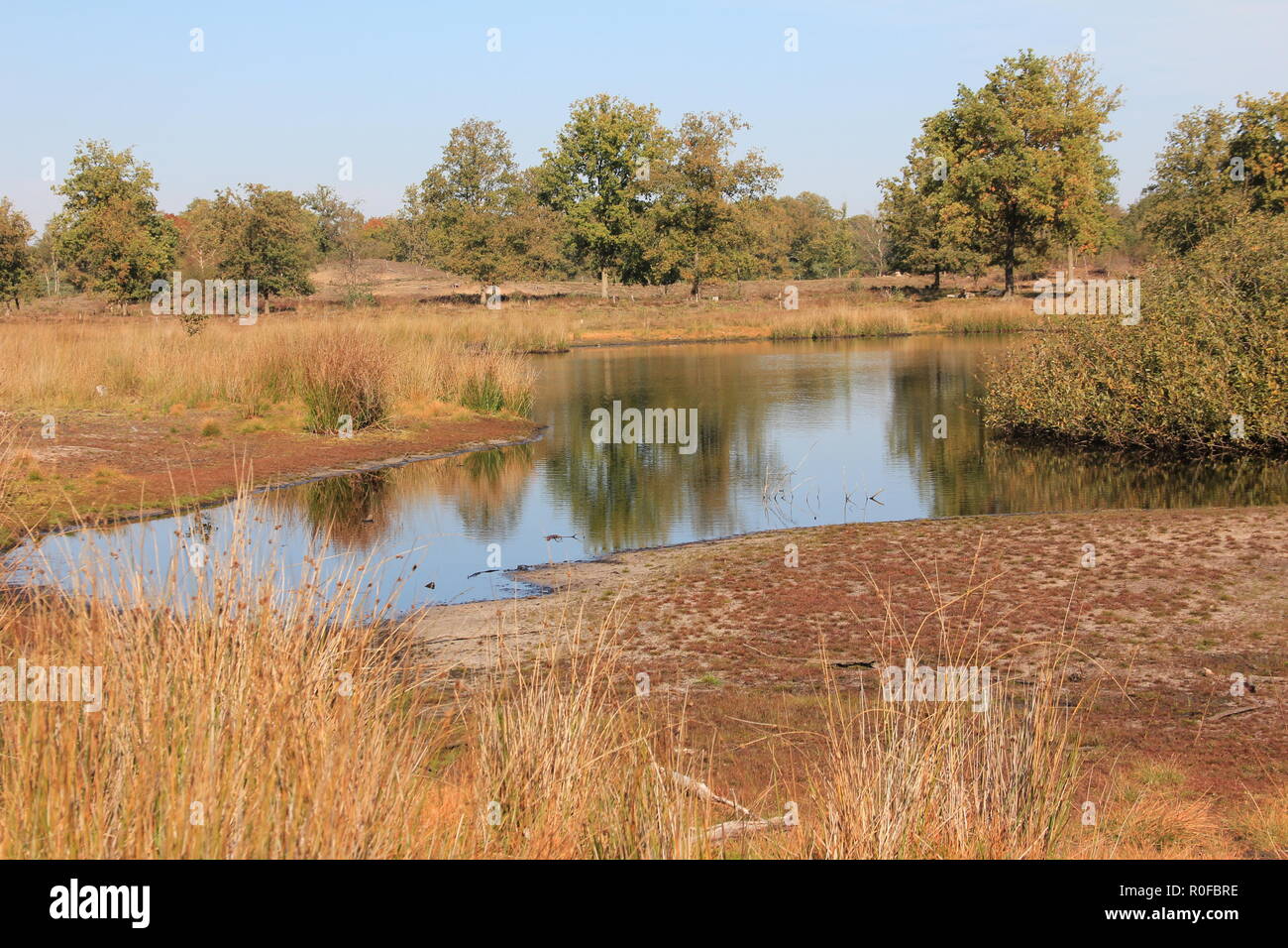 Overassltse Hatertse en Vennen Stockfoto