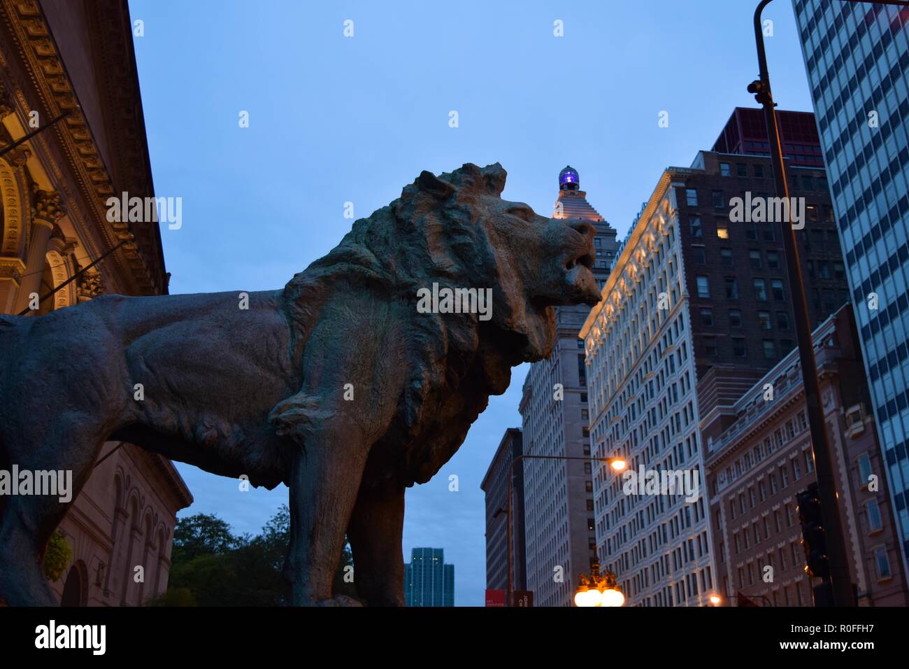 Eine von zwei Löwen am Eingang der Kunst Institut von Chicago. 1893 gegründet, das Museum ist eine der ältesten und größten in den USA. Stockfoto