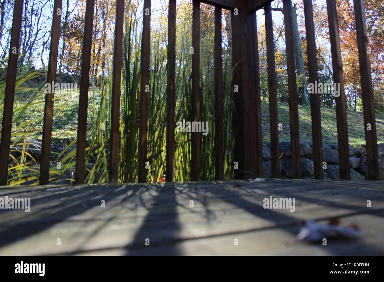 Herbst Sonnenlicht Stockfoto