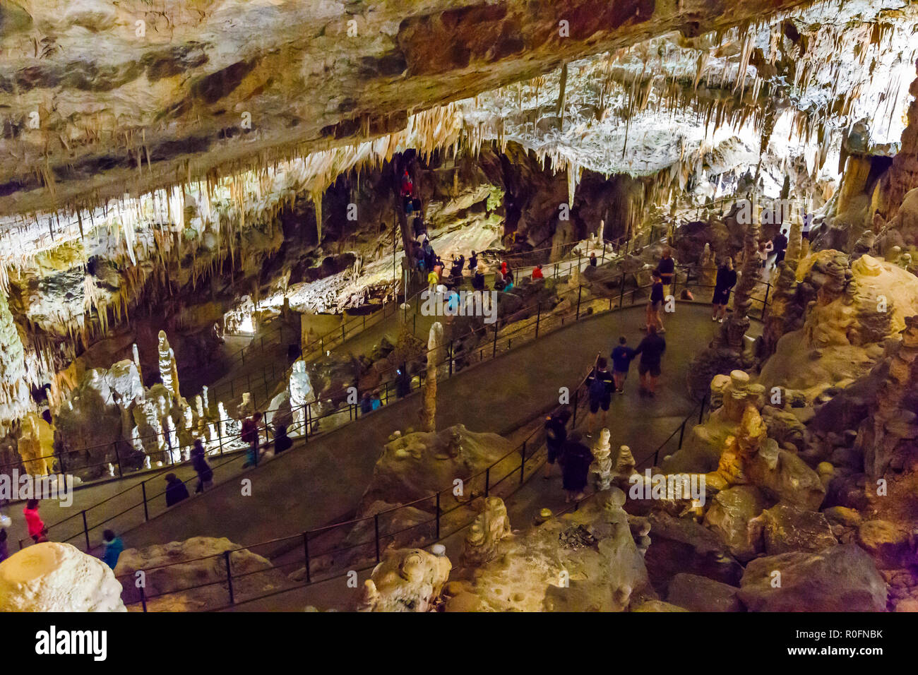 Big Mountain Halle. Höhle von Postojna. Oberkrain Region. Slowenien, Europa. Stockfoto