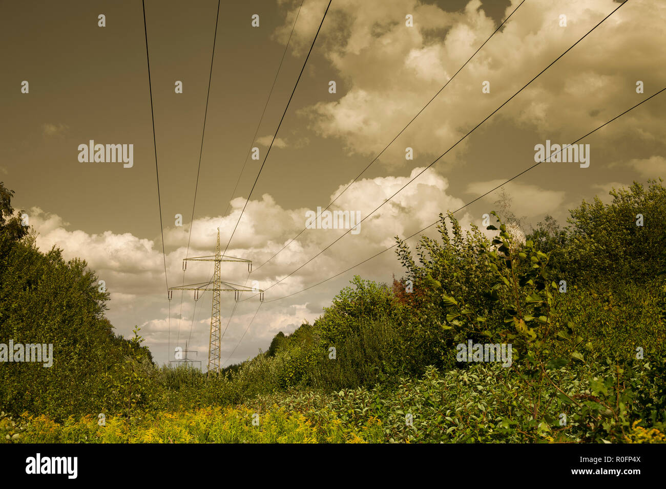 Hohe Spannung Pole mit elektrischer Kabel, Nordrhein-Westfalen, Deutschland, Europa Stockfoto