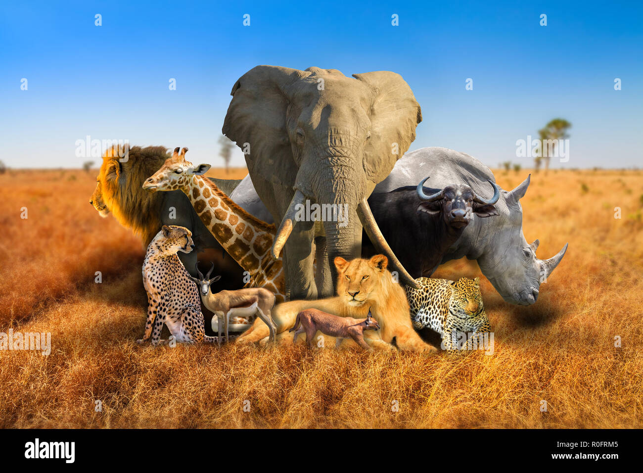 Big Five und wilde afrikanische Tiere Zusammensetzung auf Savannah Natur bokeh Hintergrund. Serengeti Wildlife Area in Tansania, Afrika. African Safari Szene Landschaft. Hintergrund. Blue Sky. Stockfoto