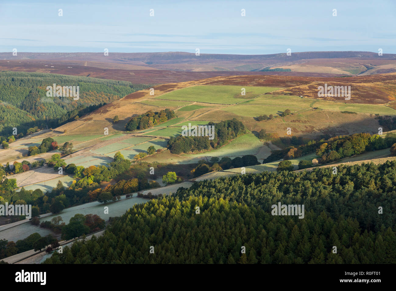 Herbst Farbe in den Hügeln des oberen Derwent Valley Nationalpark Peak District, Derbyshire, England. Stockfoto