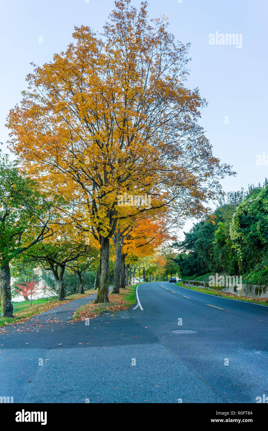 Ein Blick auf den Lake Washington Boulevard im Herbst. Stockfoto